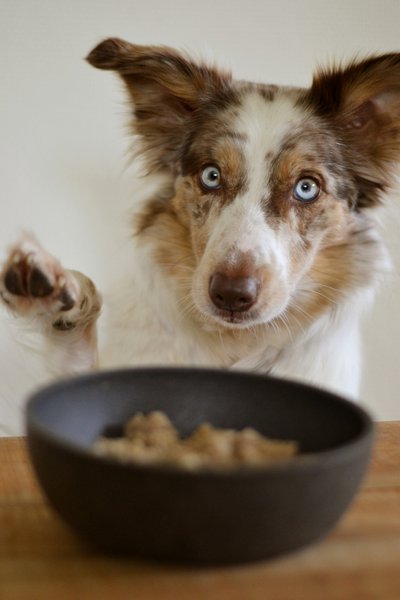 Pure Pet Food