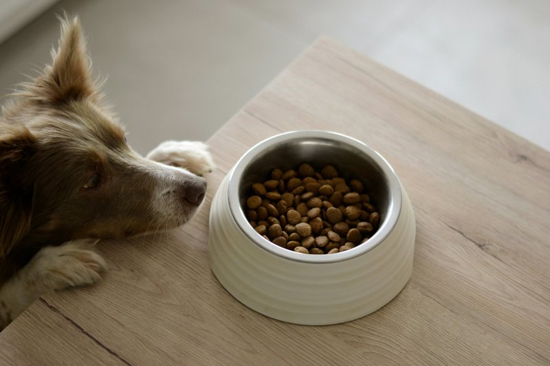 Tails.com